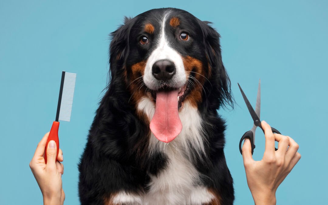 Cuidado del pelaje: cepillado, hidratación y prevención🐾