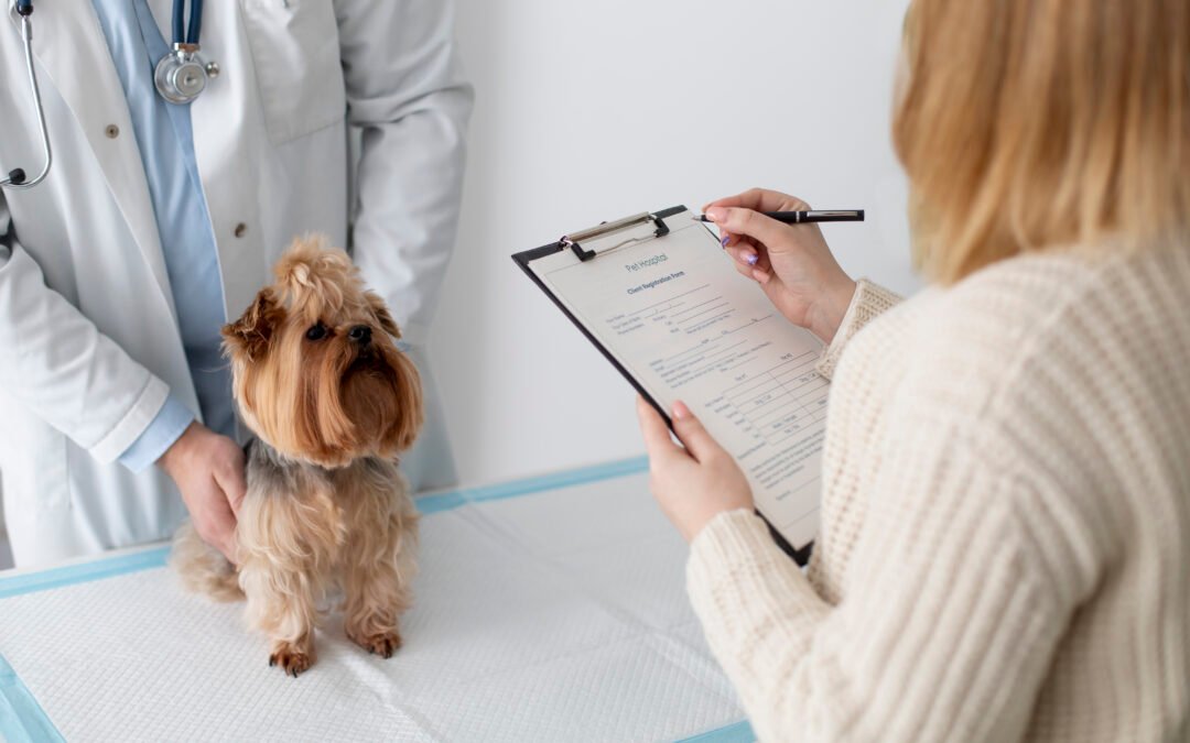 Checklist de salud mensual para tu compañero peludo 🩺