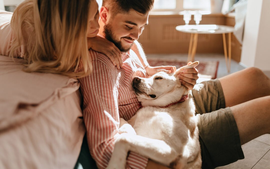 Pareja, mascotas y orden: sí, es posible 🛋️