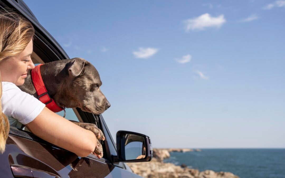Trucos para viajar en coche, tren o avión con tranquilidad 🚙