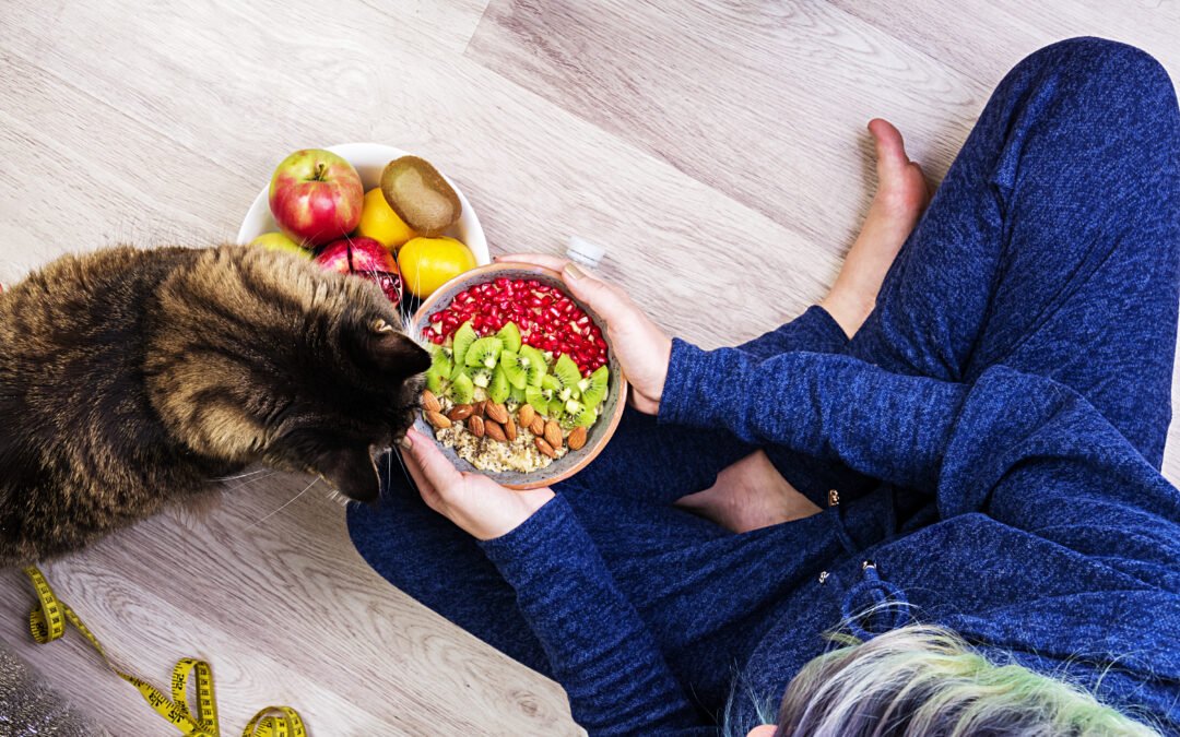 Snacks saludables que puedes preparar tú mismo 🐶