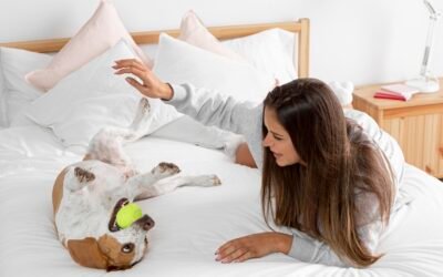 Hoteles pet friendly: cómo encontrarlos (y elegir bien) 🧳
