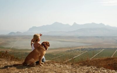 Destinos rurales ideales para escapadas con tu compañero peludo 🐾