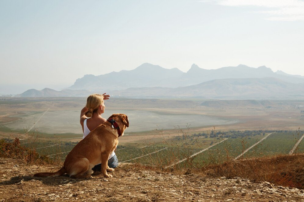 Destinos rurales ideales para escapadas con tu compañero peludo 🐾