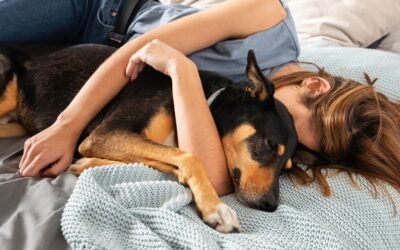 ¿Dormir juntos o separados? Pros y contras