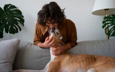 Etapas del comportamiento según la edad: de bebé a senior 🐾