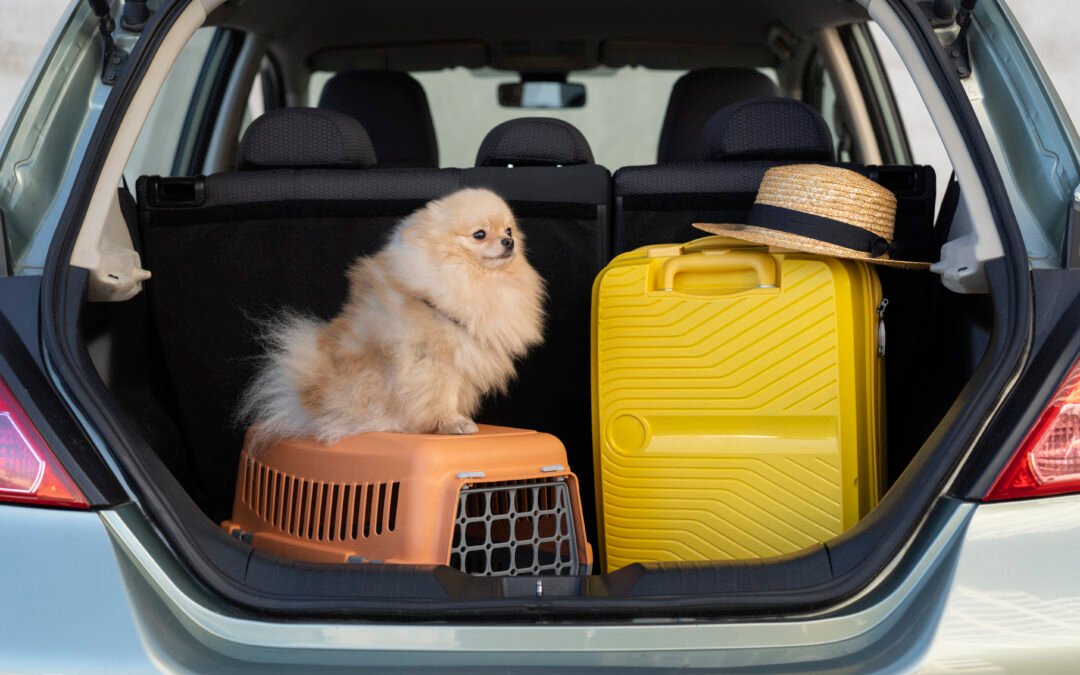 Check list de viaje: todo lo que necesitas llevar🧳🐶