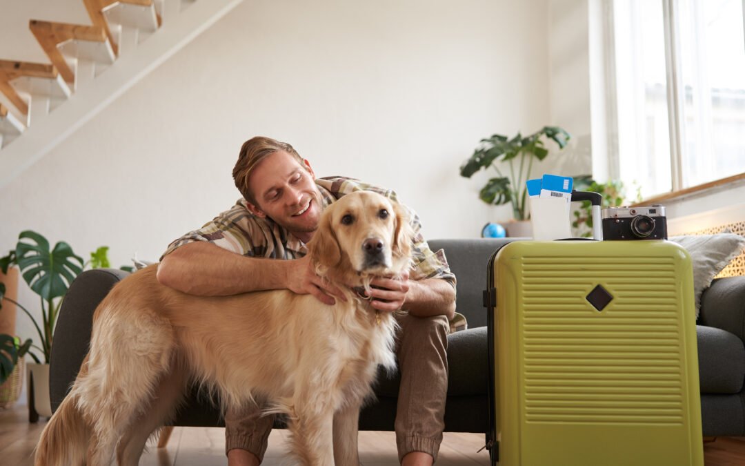 Los mejores destinos en España para viajar con tu mascota🧳🐾