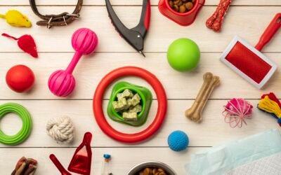 Manualidades divertidas para hacer con y para tu mascota 🎨