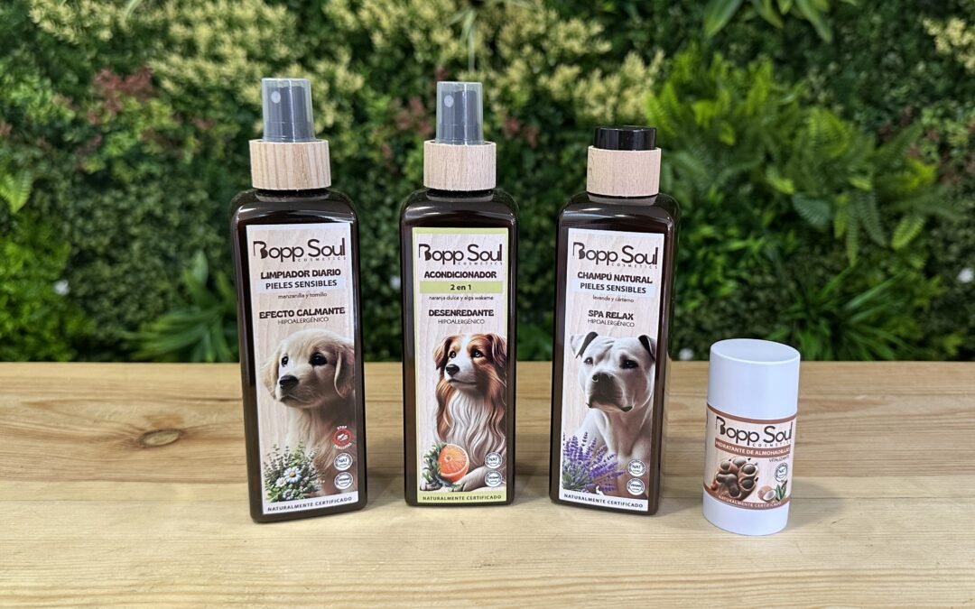 Kit BoppSoul: qué incluye y cómo usarlo paso a paso 🧼
